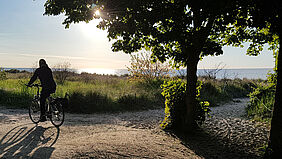 Ein Radfahrer ist vor der utnergehenden Sonne als Silhoutte zu erkennen. Er fährt einen Küstenweg entlang, so dass die Ostsee zu sehen ist.